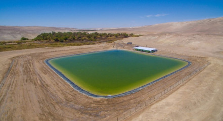 Imagen de un tranque en el desierto