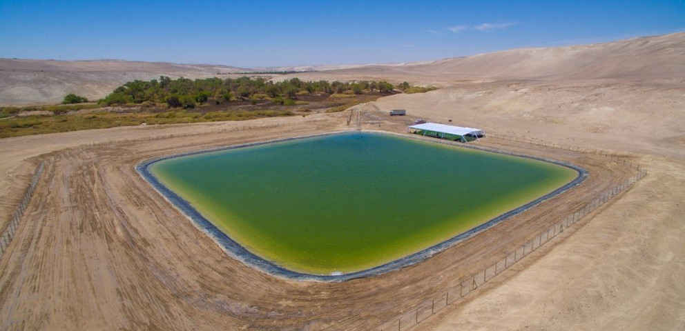 Imagen de un tranque en el desierto