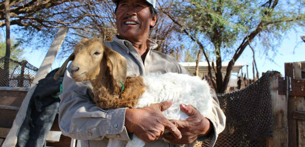 Se ve a un hombre sosteniendo a un chivo