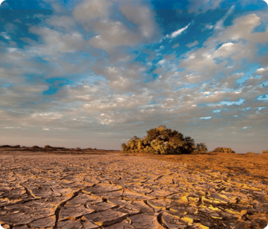 background sustentabilidad