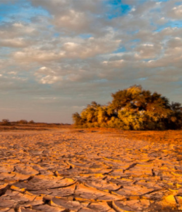 Imagen del desierto