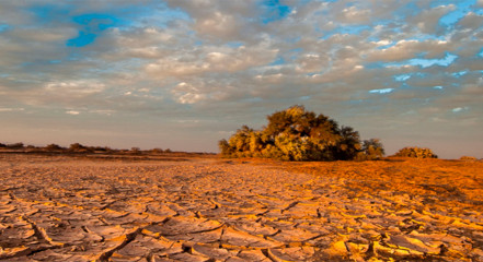 Imagen del desierto