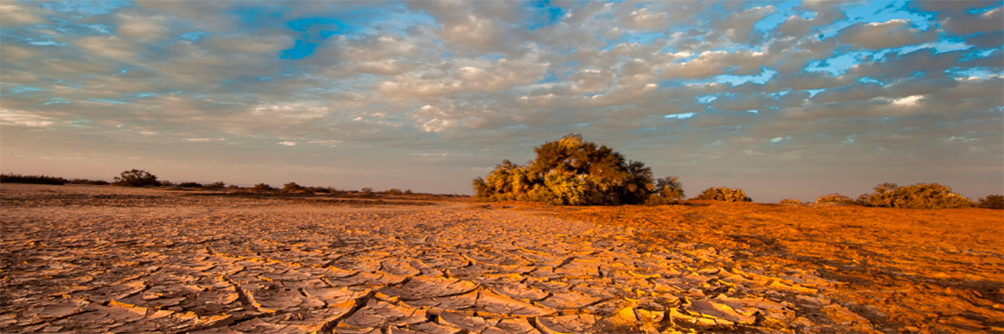 Imagen del desierto