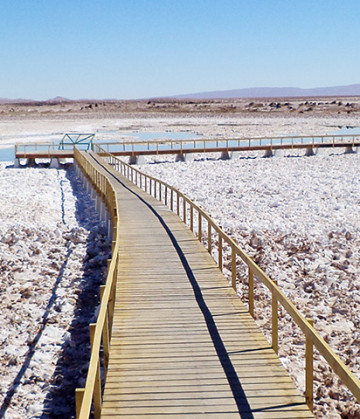 Imagen del salar de Llamara