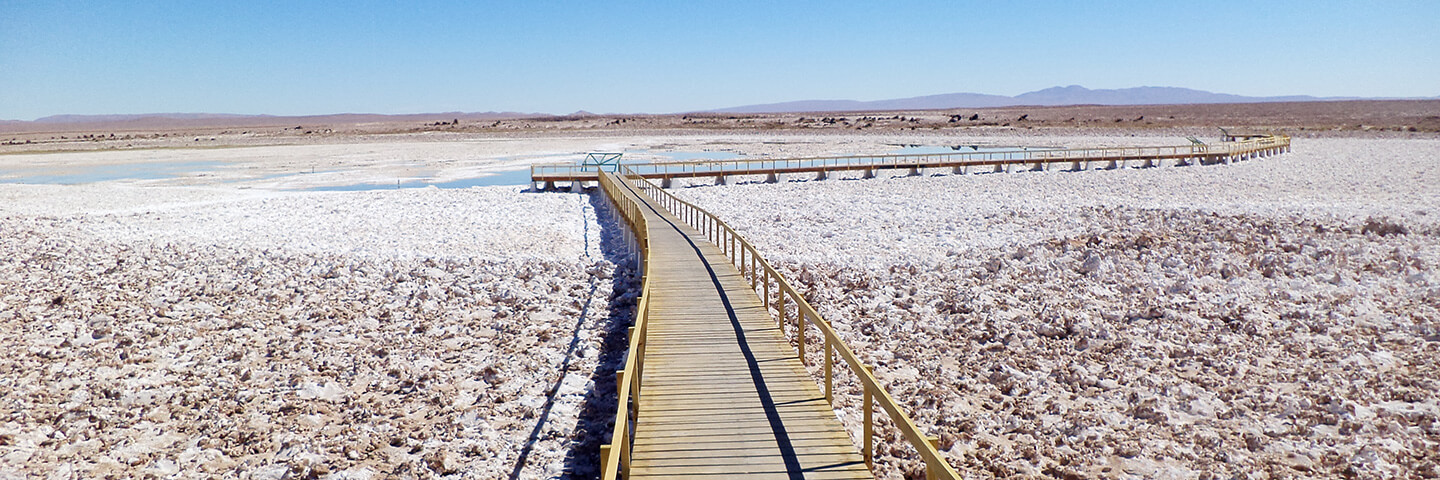 Imagen del salar de Llamara