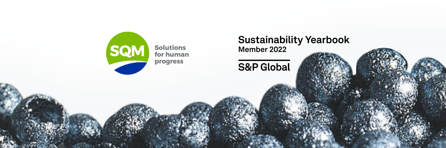 Sustainability Yearbook member 2022 S&P Global